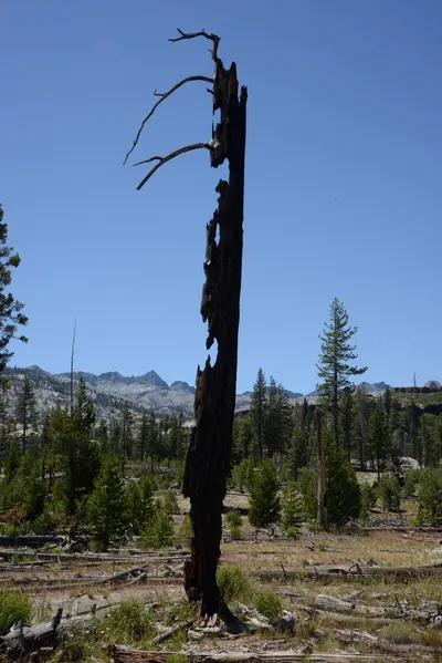 DSC_3762 (Large).JPG